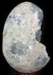 Crystal Filled Celestine (Celestite) Egg - Madagascar #41691-1
